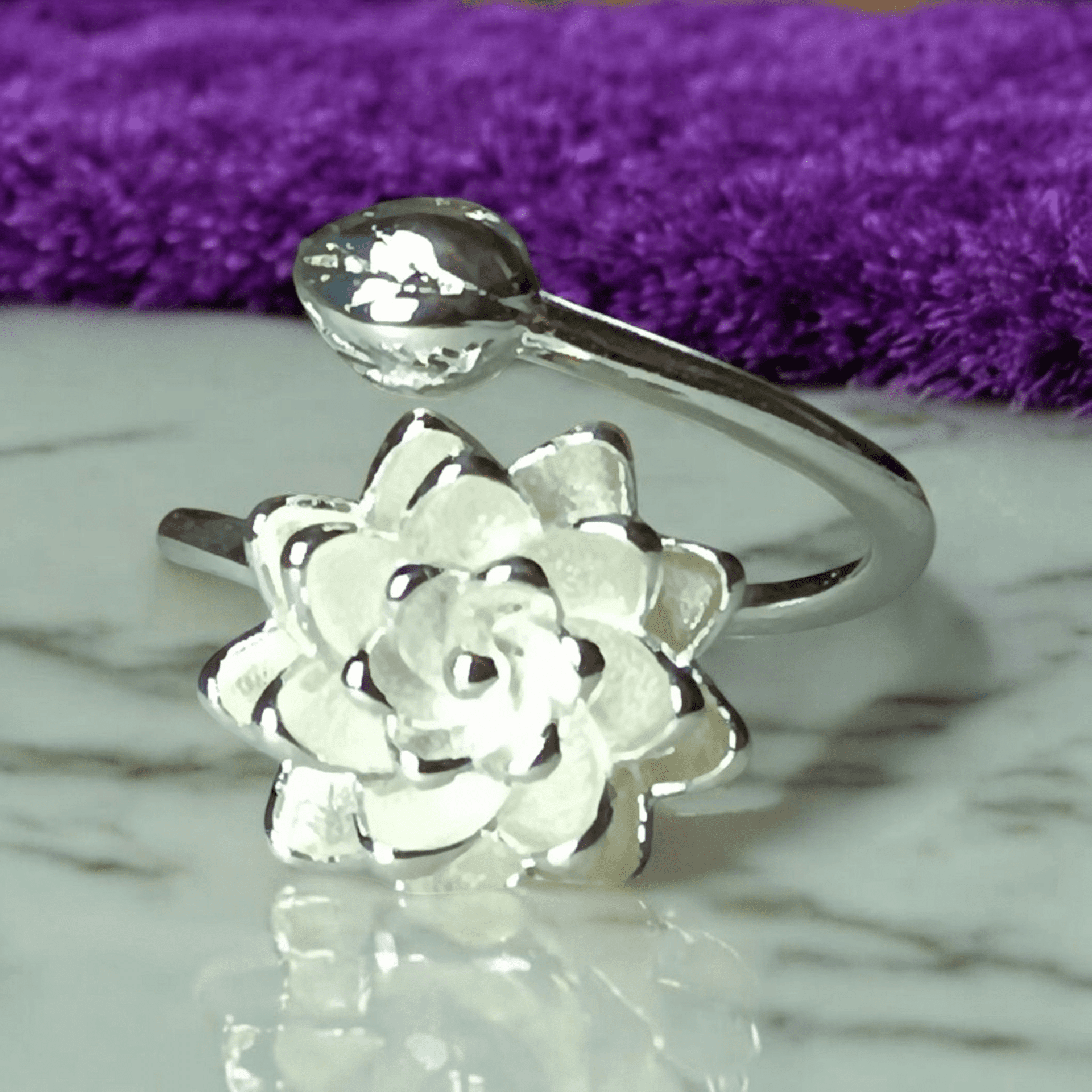 Conjunto Cintia - 2